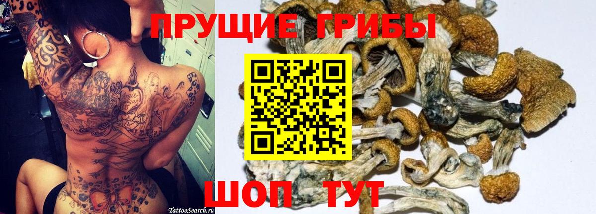 Псков  Галлюциногенные грибы Psilocybe  Вход с VPN  наркотики  Галлюциногенные грибы мицелий 