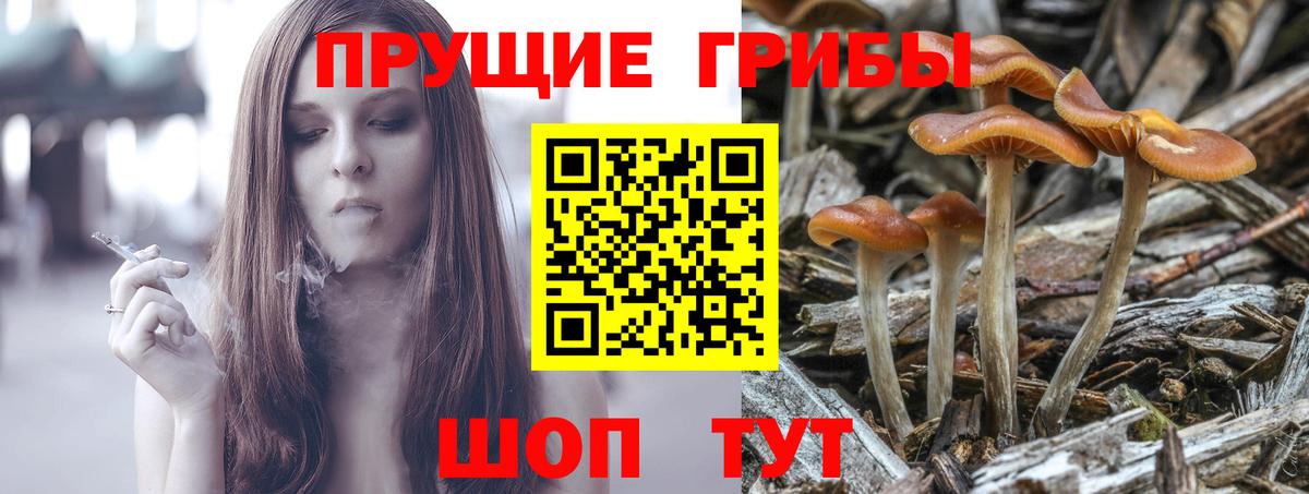 Псилоцибиновые грибы мухоморы Псков